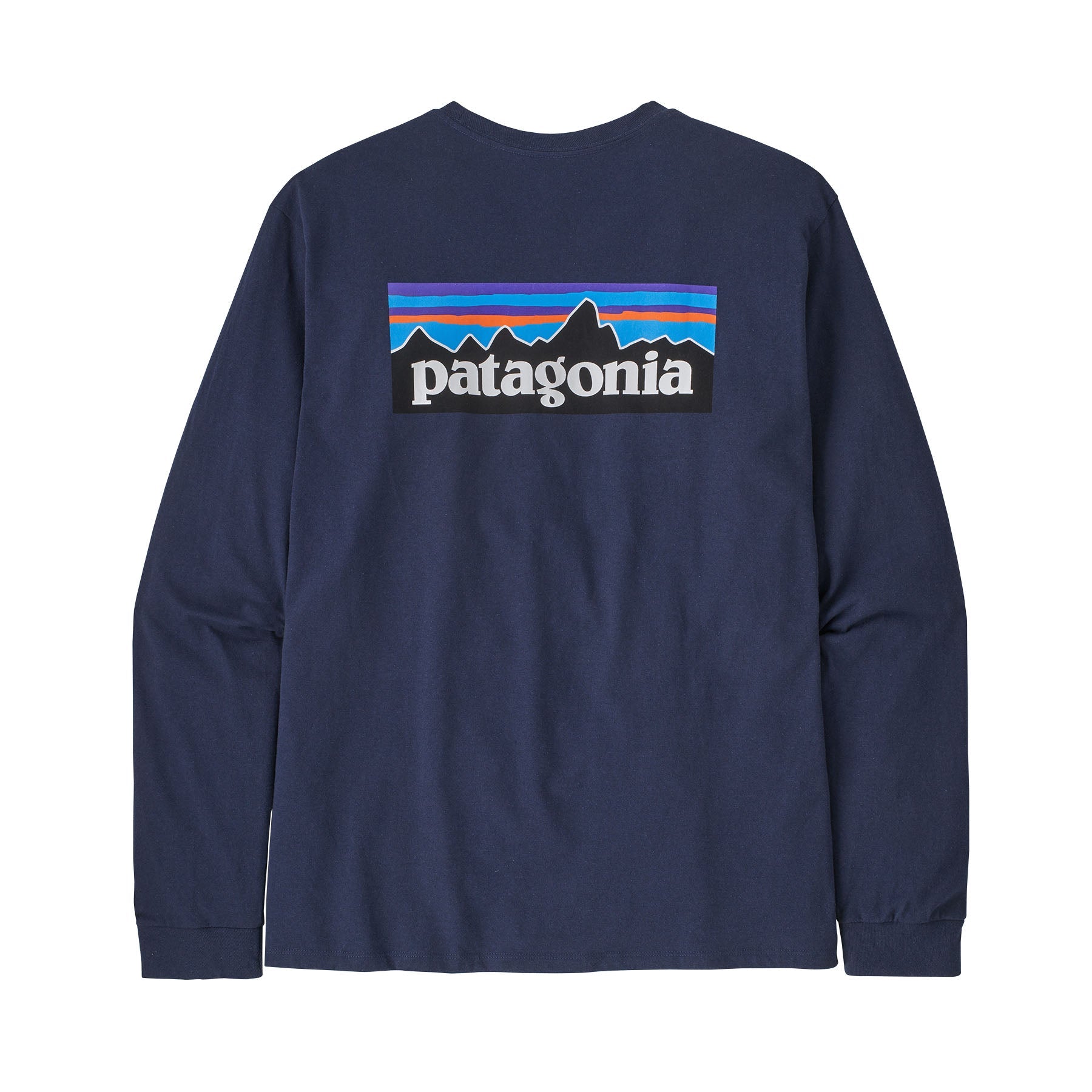 patagonia ロンT L LONG-SLEEVED P-6 LOGO 水色 - トップス